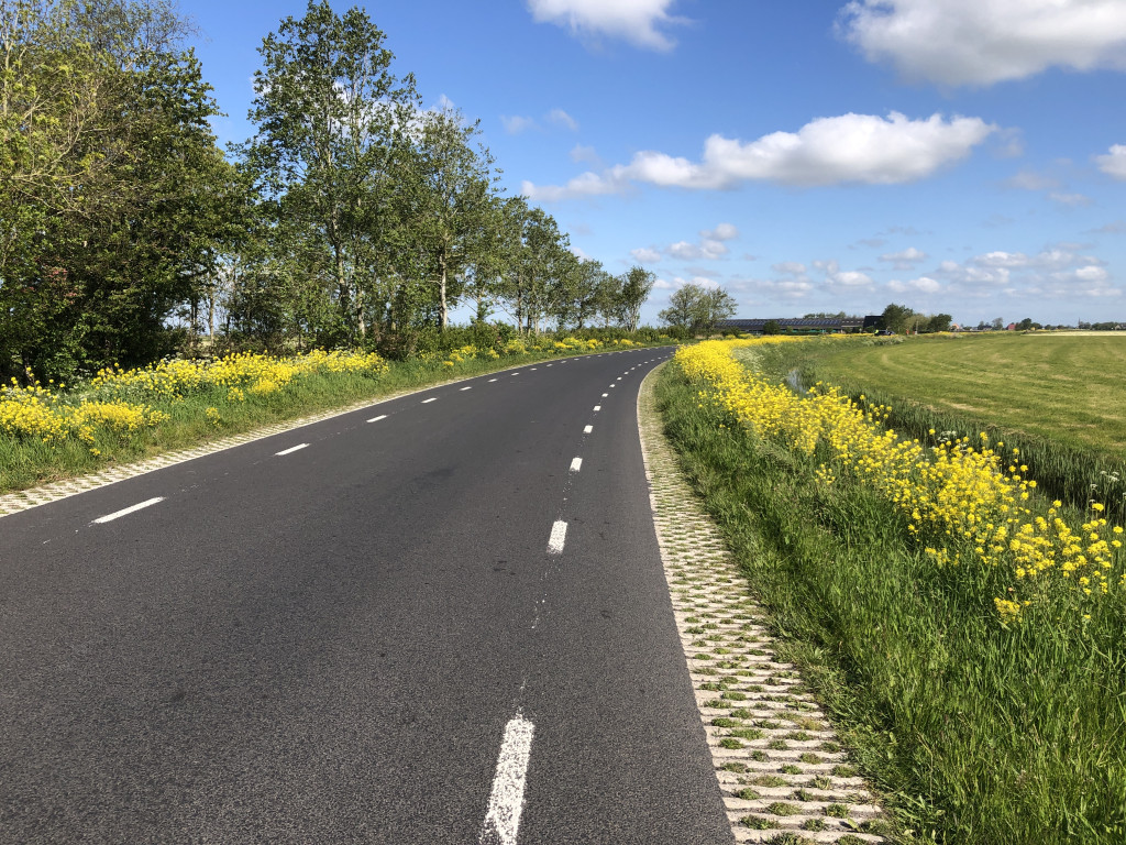 veilige-groene-berm.jpg